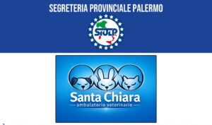 AMBULATORIO VETERINARIO SANTA CHIARA