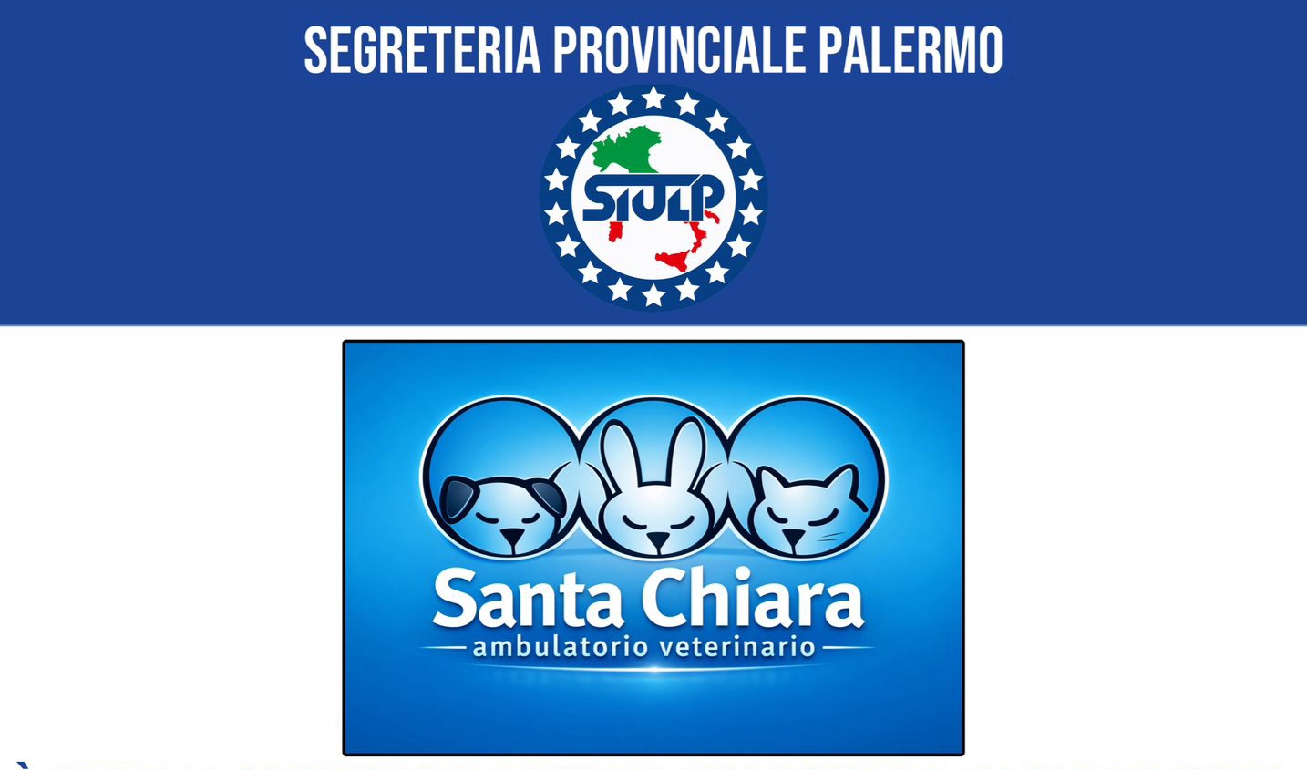 AMBULATORIO VETERINARIO SANTA CHIARA